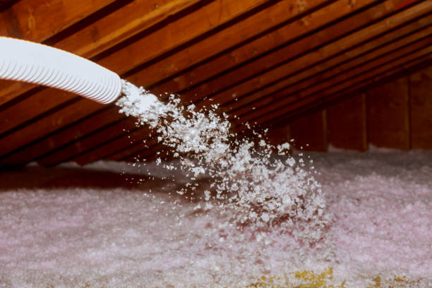 Best Blown-in Insulation in Grandwood Park, IL