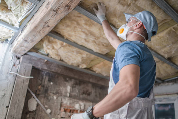 Best Eco-Friendly Insulation in Grandwood Park, IL
