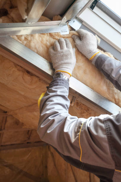 Best Commercial Insulation in Grandwood Park, IL