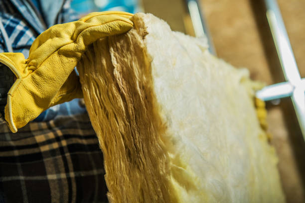 Best Specialized Insulation Services in Grandwood Park, IL