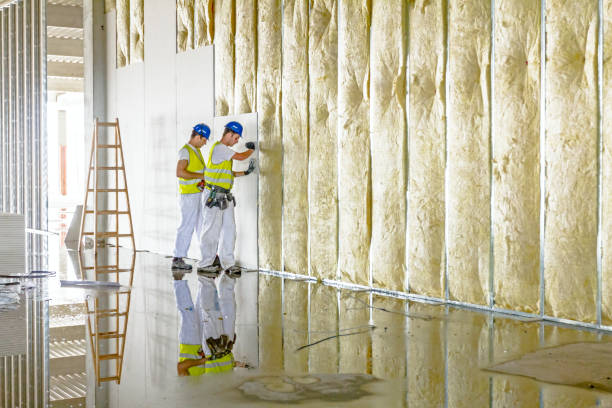 Best Blown-in Insulation in Grandwood Park, IL